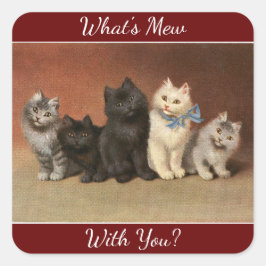 Wat is New Cats Sticker