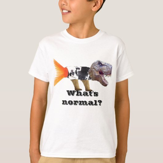 Wat is normaal shirt? t-shirt (Voorkant)