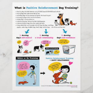 Wat is Pos Reinf. Dog Training? FLYERS