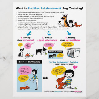 Wat is Pos Reinf. Dog Training? FLYERS