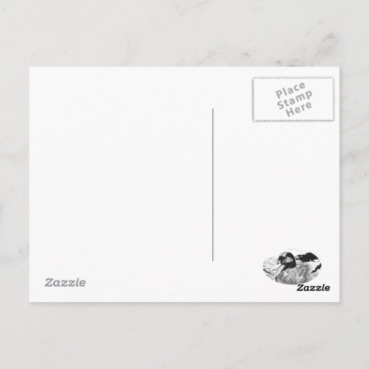 Wat is Quackin? Briefkaart (Achterkant)