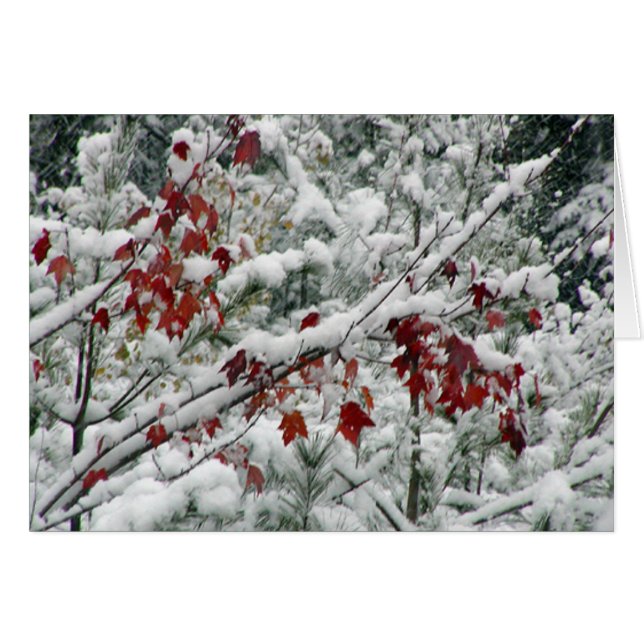 Wat is rood, wit en sneeuw overal? (Voorkant Horizontaal)