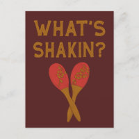 Wat is Shakin  stijl Maracas