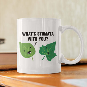 Wat is Stomata met jou? Koffiemok