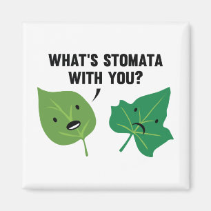 Wat is Stomata met jou? Magneet