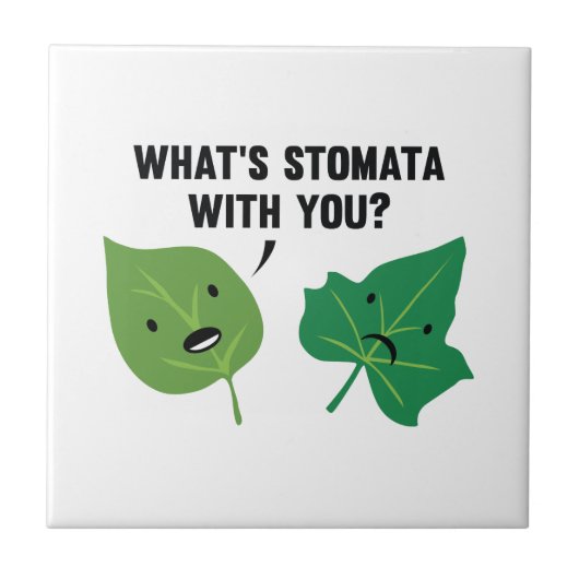 Wat is Stomata met jou? Tegeltje (Voorkant)
