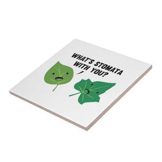Wat is Stomata met jou? Tegeltje (Zijkant)