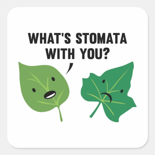 Wat is Stomata met jou? Vierkante Sticker (Voorkant)