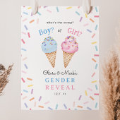 Wat is The Scoop Ice Cream Gender Reveal Poster