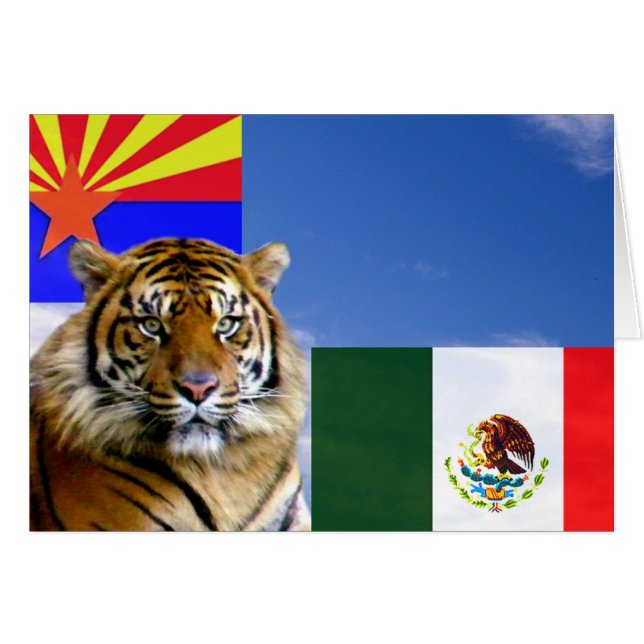 Wat is Up_ (Voorkant Horizontaal)