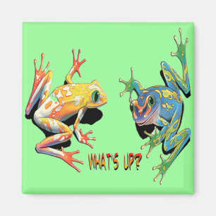 Wat is Up Frogs? Magneet