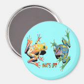 Wat is Up Frogs? Magneet (Voorkant / Achterkant)