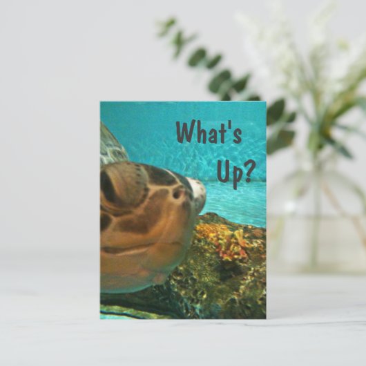 Wat is Up Turtle Selfie? Briefkaart (Staand voorkant)