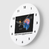 Wat is uw Circadiaans ritme? Grote Klok (Hoek)