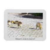 Wat is voor Lunch Magnet Magneet (Horizontaal)