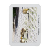Wat is voor Lunch Magnet Magneet (Verticaal)