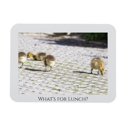 Wat is voor Lunch Magnet Magneet