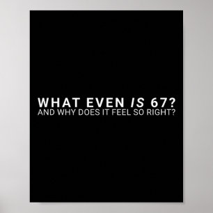 Wat is zelfs 67 Meme  Poster