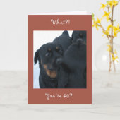 Wat?! Je bent 40? verjaardagskaart Kaart (Gele Bloem)