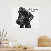 Wat? Je bent niet, vast? Poster (Keuken)