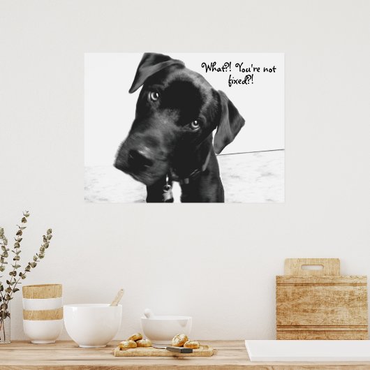 Wat? Je bent niet, vast? Poster (Keuken)