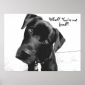 Wat? Je bent niet, vast? Poster (Voorkant)