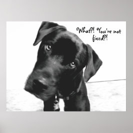 Wat? Je bent niet, vast? Poster