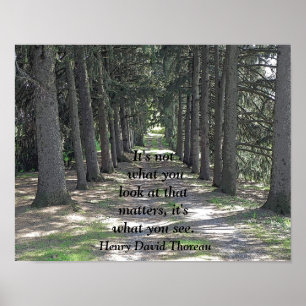 Wat je ziet -- Kunstprint - Henry David Thoreau Poster