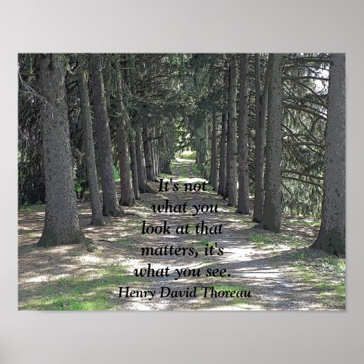 Wat je ziet -- Kunstprint - Henry David Thoreau Poster (Voorkant)