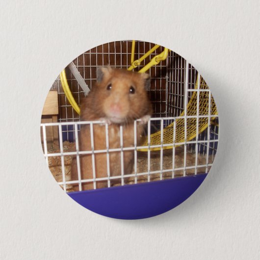 wat je ziet ronde button 5,7 cm (Voorkant)