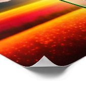 Wat je zoekt in Dreamweaver Rumi Quote Poster (Hoek)