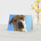 Wat? Kaart (Gele Bloem)