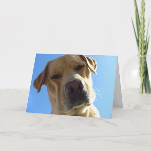 Wat? Kaart (Voorkant)