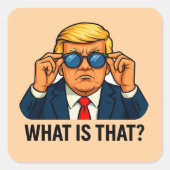 wat kan het zijn vierkante sticker (Voorkant)