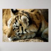 Wat kan ik nu doen? poster (Voorkant)