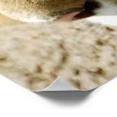 Wat kan ik nu doen? poster (Hoek)