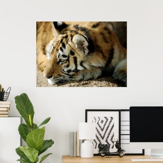 Wat kan ik nu doen? poster (Thuiskantoor)