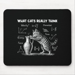Wat katten echt grappig vinden Kattenfysica Wetens Muismat