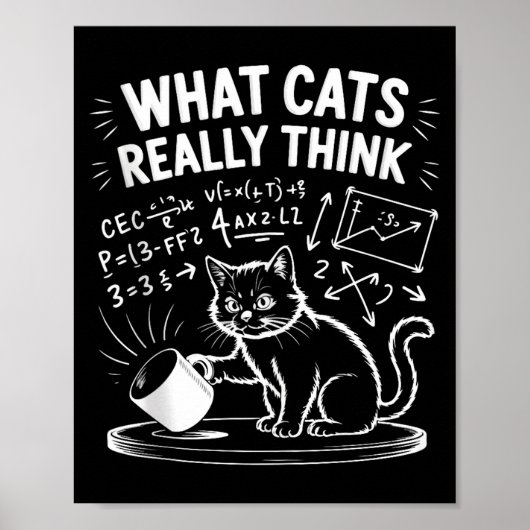 Wat katten grappig vinden grappige kattenmeme fysi poster (Voorkant)