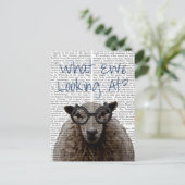 Wat kijken we nu naar briefkaart (Staand voorkant)