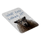 Wat kijken we nu naar magneet (Rechterzijde)