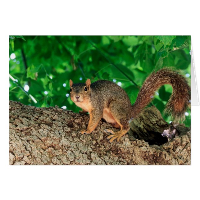 Wat? (kleur) (Voorkant Horizontaal)