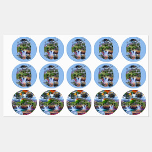 Wat leef ik in een prachtige wereld labels