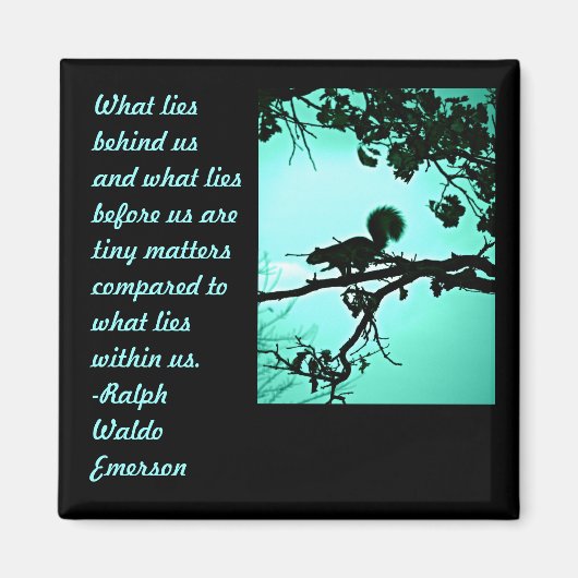 Wat ligt er binnen magneet (Voorkant)