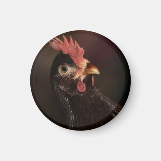 Wat? Magneet (Voorkant)