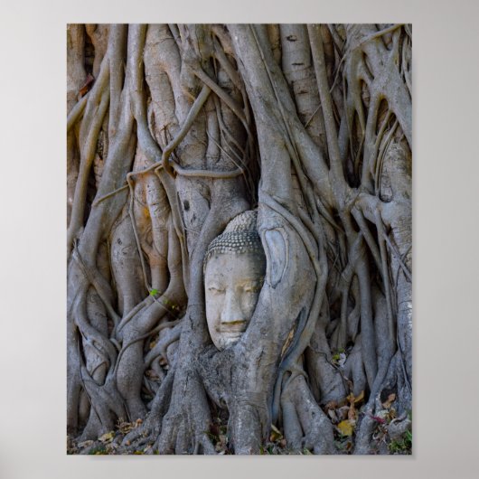 Wat Mahathat Buddha Head Poster (Voorkant)