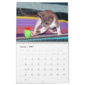 Wat met Bob Kitten (kat) Agenda Kalender (Jan 2027)