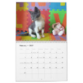 Wat met Bob Kitten (kat) Agenda Kalender (Feb 2027)