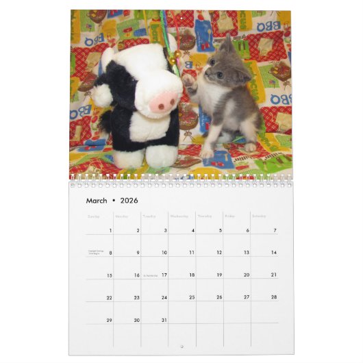 Wat met Bob Kitten (kat) Agenda Kalender (Mar 2026)
