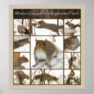 Wat moet een man doen om wat eten te krijgen? poster